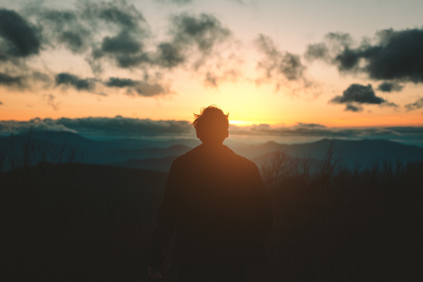 Nature’s Lessons for a Better Tomorrow
